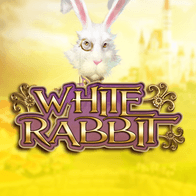 White Rabbit icon